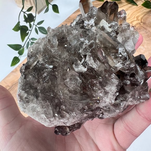 1 lb Double Sided Raw Smoky Quartz Crystal Cluster - A+ Collector Quality - Picture 4 of 13